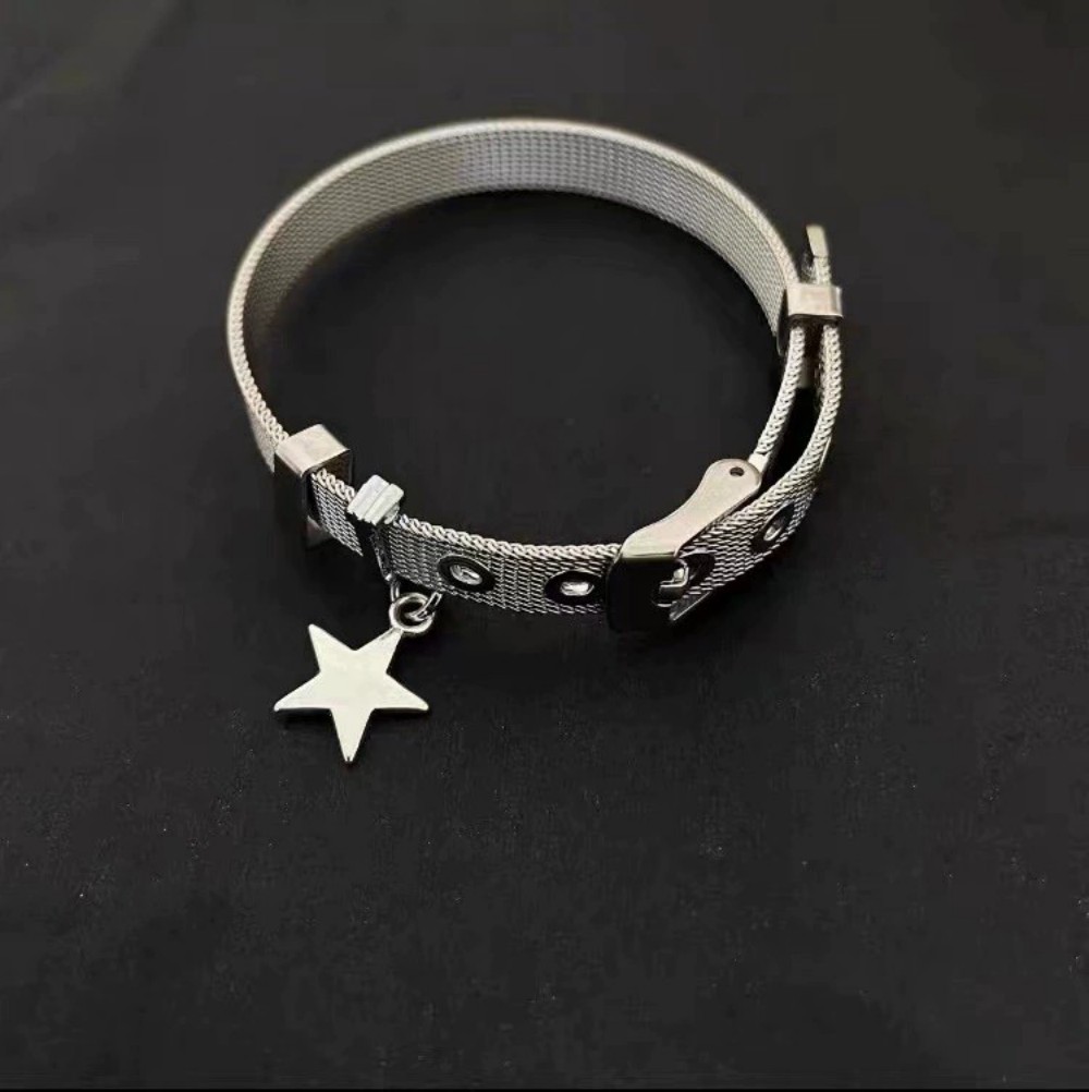 Armband met stercharme, armban - Mesh Strap Metal recensie en prijs